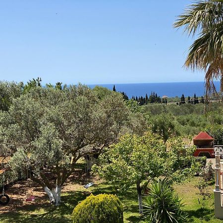 Lemon Tree Apartments A D Argostoli (Kefalonia) Exterior photo
