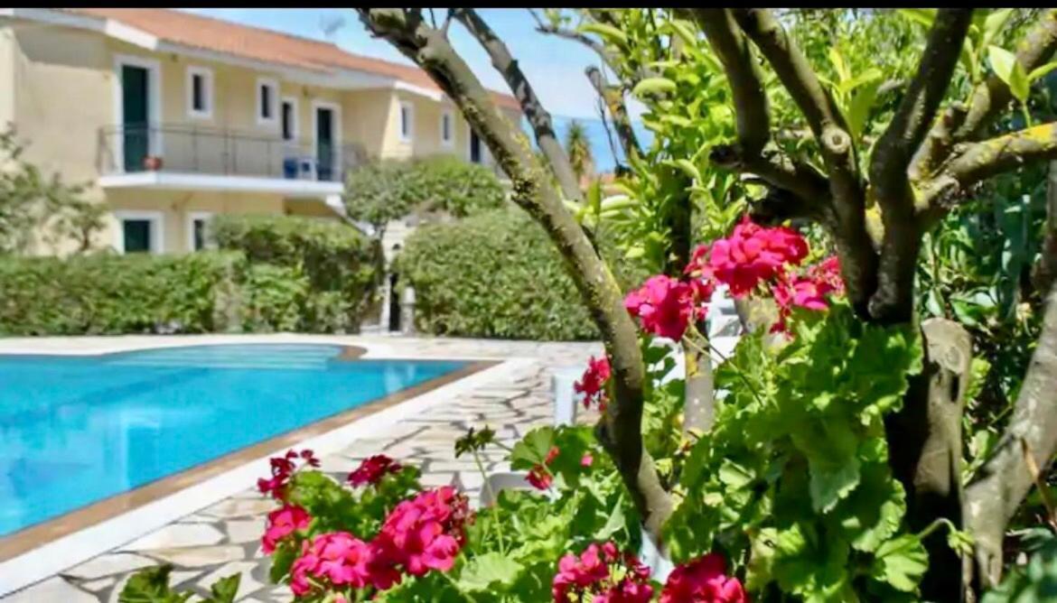 Lemon Tree Apartments A D Argostoli (Kefalonia) Exterior photo